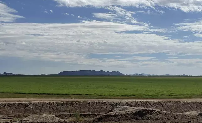 This September 2022 photo provided by Arizona Attorney General Kris Mayes' office shows alfalfa fields in Salome, Ariz. (Arizona Attorney General Kris Mayes' office via AP)