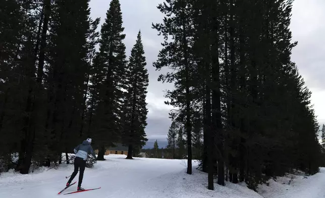 Two-time Olympian Joan Wilder skis at the Meissner Nordic Community Ski Area within the Deschutes National Forest on Nov. 22, 2024, in Deschutes County near Bend, Ore. (AP Photo/Jenny Kane)