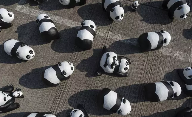 Part of 2500 panda sculptures are displayed at the Hong Kong International Airport during a welcome ceremony of the panda-themed exhibition "Panda Go!" in Hong Kong, Monday, Dec. 2, 2024. (AP Photo/Chan Long Hei)