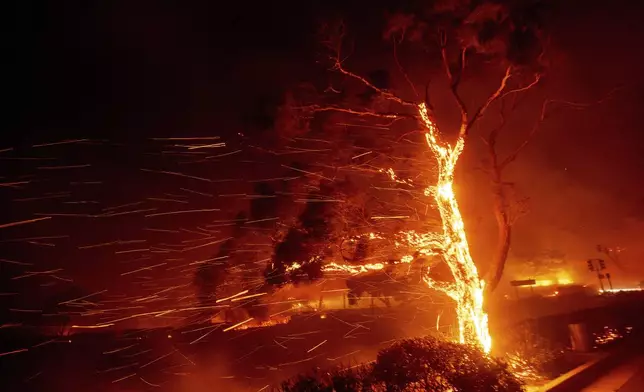 Embers fly as the Franklin Fire burns in Malibu, Calif., on Tuesday, Dec. 10, 2024. (AP Photo/Ethan Swope)