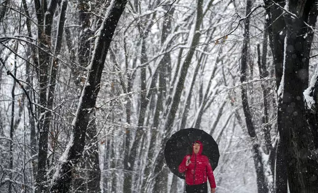 A man walks through a snow covered park during a snowfall, in Belgrade, Serbia, Tuesday, Dec. 24, 2024. (AP Photo/Darko Vojinovic)