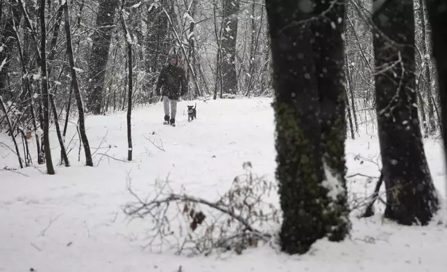 A man with a dog walks through a snow covered park during a snowfall, in Belgrade, Serbia, Tuesday, Dec. 24, 2024. (AP Photo/Darko Vojinovic)