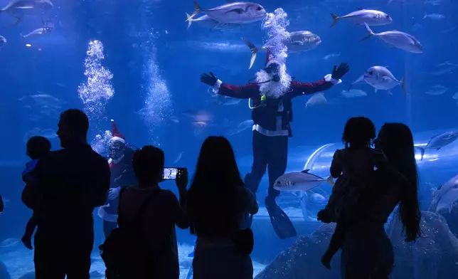 Visitors watch divers dressed as Mother Christmas and Santa Claus swim inside a tank at the AquaRio Marine Aquarium, as part of an annual Christmas tradition, in Rio de Janeiro, Saturday, Dec. 21, 2024. (AP Photo/ Bruna Prado)