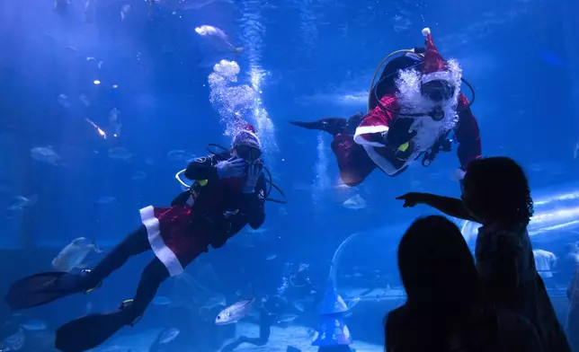 Divers dressed as Mother Christmas and Santa Claus, swim inside a tank at the AquaRio Marine Aquarium as part of an annual Christmas tradition, in Rio de Janeiro, Saturday, Dec. 21, 2024. (AP Photo/ Bruna Prado)