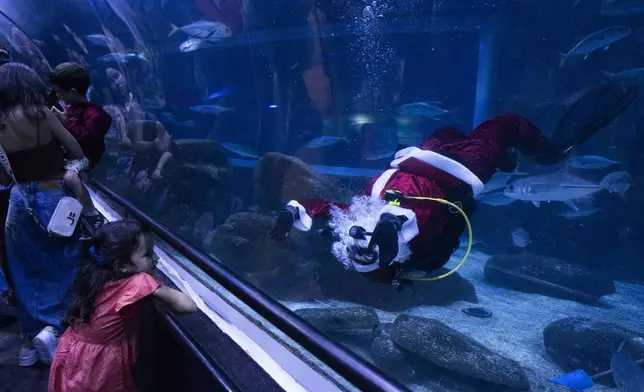 Diver Felipe Luna, dressed in a Santa Claus suit, swims upside down while waving to a visitor, inside a tank at the AquaRio Marine Aquarium as part of an annual Christmas tradition, in Rio de Janeiro, Saturday, Dec. 21, 2024. (AP Photo/ Bruna Prado)