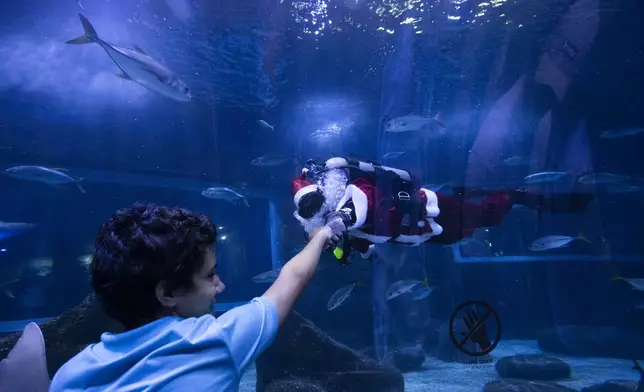 Diver Felipe Luna, dressed as Santa Claus, fist bumps a visitor, from inside a tank at the AquaRio Marine Aquarium, as part of an annual Christmas tradition, in Rio de Janeiro, Saturday, Dec. 21, 2024. (AP Photo/ Bruna Prado)