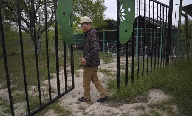 Adrian Primeaux, of the Yankton Sioux and Apache, opens the gates to a peyote nursery at the Indigenous Peyote Conservation Initiative, in Hebbronville, Texas, Sunday, March 24, 2024. (AP Photo/Jessie Wardarski)