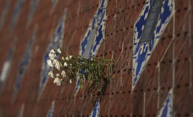 Flowers hang on tiled memorial wall displaying names of victims from the tsunami 2004 in Tsunami memorial park, at Ban Nam Khem, Takuapa district of Phang Nga province, southern Thailand, Monday, Dec. 9, 2024. (AP Photo/Sakchai Lalit)