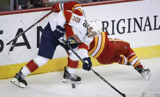 Florida Panthers' Nate Schmidt, left, steals the puck from Calgary Flames' Kevin Rooney during the third period of an NHL hockey game in Calgary, Alberta, Saturday, Dec. 14, 2024. (Jeff McIntosh/The Canadian Press via AP)