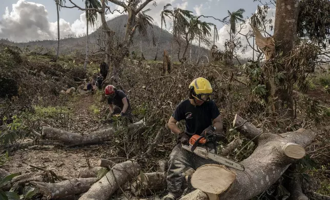 French civil security officers cut trees to open a road for heavy vehicles from Mayotte water authorities to repair water pipes in Mirereni, Mayotte, Friday, Dec. 20, 2024. (AP Photo/Adrienne Surprenant)