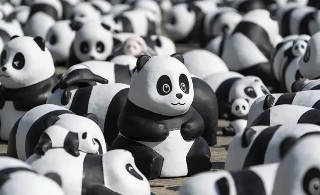 Part of 2500 panda sculptures are displayed at the Hong Kong International Airport during a welcome ceremony of the panda-themed exhibition "Panda Go!" in Hong Kong, Monday, Dec. 2, 2024. (AP Photo/Chan Long Hei)