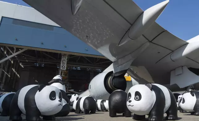 Part of 2500 panda sculptures are displayed at the Hong Kong International Airport during a welcome ceremony of the panda-themed exhibition "Panda Go!" in Hong Kong, Monday, Dec. 2, 2024. (AP Photo/Chan Long Hei)