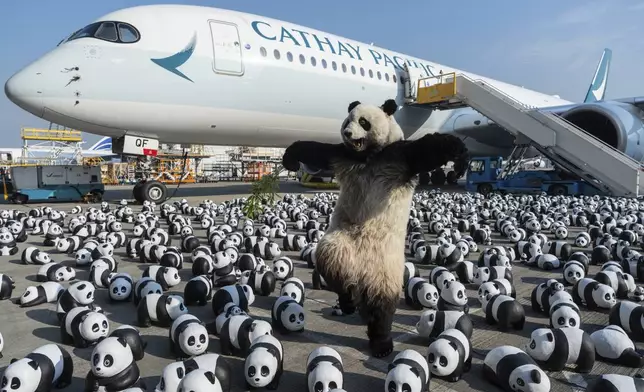 A panda mascot poses for photographs in front of the panda sculptures displayed at the Hong Kong International Airport during the welcome ceremony of the panda-themed exhibition "Panda Go!" in Hong Kong, Monday, Dec. 2, 2024. (AP Photo/Chan Long Hei)