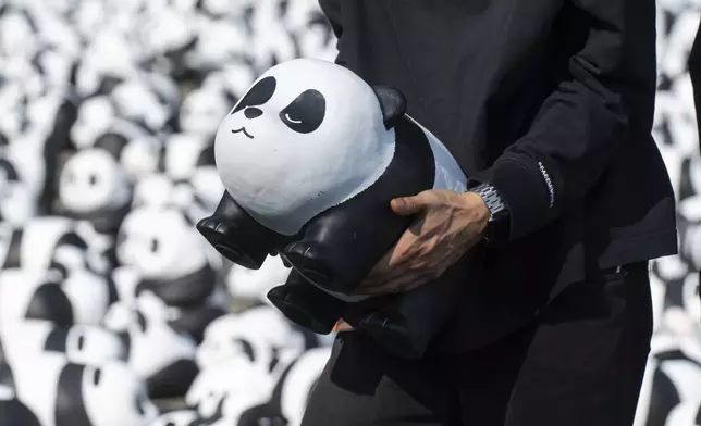 A staff member carries one of the 2500 panda sculptures displayed at the Hong Kong International Airport during a welcome ceremony of the panda-themed exhibition "Panda Go!" in Hong Kong, Monday, Dec. 2, 2024. (AP Photo/Chan Long Hei)