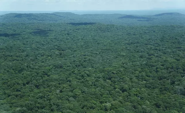Trees cover the Okapi Wildlife Reserve in Congo, September 2022. (AP Photo)