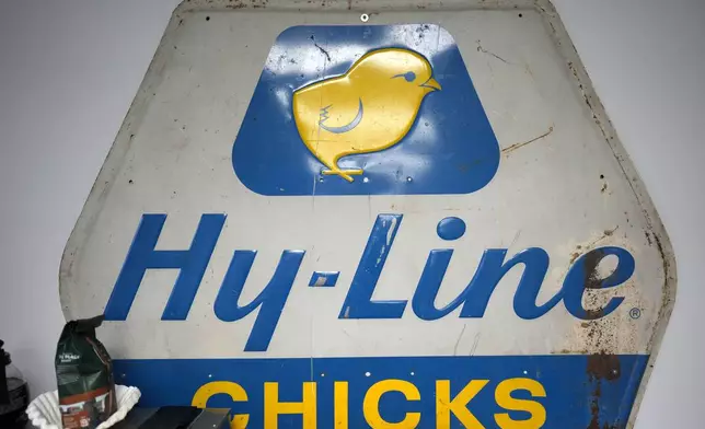 A company sign is seen in a conference room at the Hy-Line hatchery Tuesday, Dec. 10, 2024, in Wilton, Iowa. (AP Photo/Charlie Neibergall)