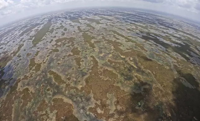 Florida's Everglades are seen from the air during a flight donated by LightHawk, Friday, May 17, 2024. (AP Photo/Rebecca Blackwell)