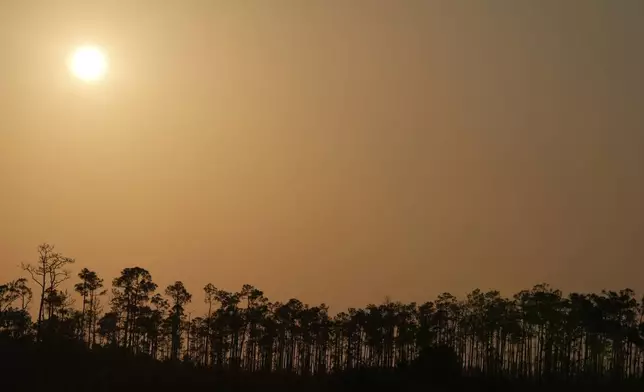 The sun sets over cypress trees in Everglades National Park, Fla., Saturday, May 18, 2024. (AP Photo/Rebecca Blackwell)