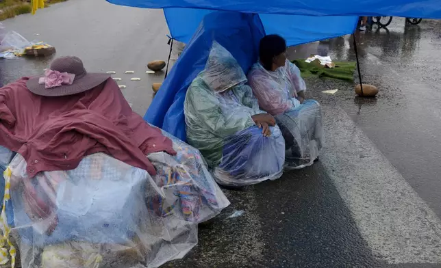 FILE - Street vendors take cover from the rain in Lauca N in the Chapare region of Bolivia, Nov. 22, 2024. (AP Photo/Juan Karita, File)