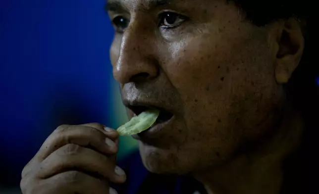 FILE - Former President Evo Morales chews coca in the Lauca N, Chapare region of Bolivia, Nov. 3, 2024, amid an ongoing political conflict with the government of President Luis Arce. (AP Photo/Juan Karita, File)