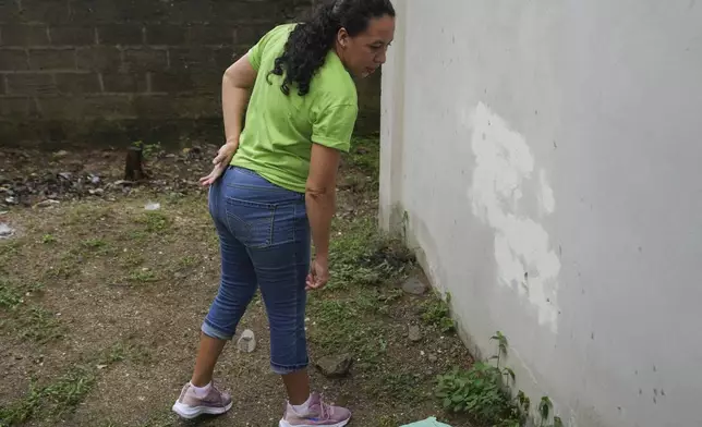 Thelma Peña inspects the area where her husband Juan López, an environmentalist, was killed by a masked gunman at a church in the Fabio Ochoa neighborhood of Tocoa, Honduras, Friday, Dec. 6, 2024. (AP Photo/Moises Castillo)