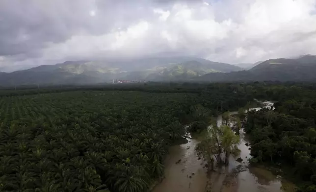 The Guapinol River flows through Carlos Escaleras National Park in Tocoa, Honduras, Friday, Dec. 6, 2024. (AP Photo/Moises Castillo)