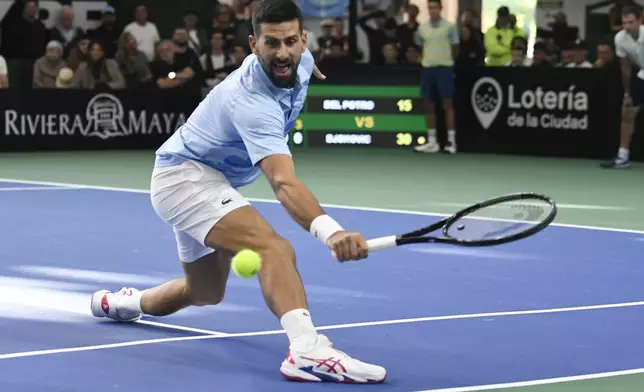 Serbia's Novak Djokovic returns the ball to Argentina's Juan Martin Del Potro during an exhibition tennis match in Buenos Aires, Argentina, Sunday, Dec. 1, 2024. (AP Photo/Gustavo Garello)