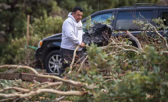 A man clears downed trees near his house in Seaside, Calif., Saturday, Dec. 14, 2024. (AP Photo/Nic Coury)