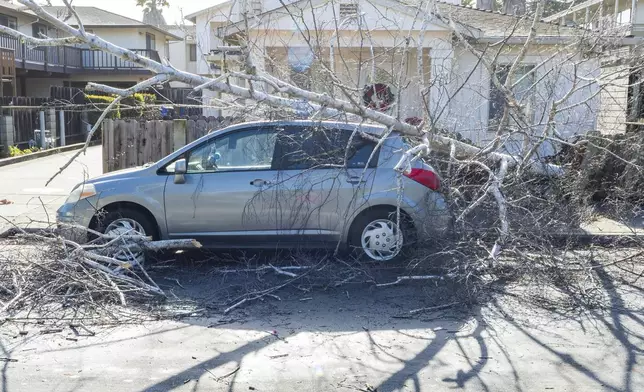 A car is damaged by a fallen tree in Monterey, Calif., Saturday, Dec. 14, 2024. (AP Photo/Nic Coury)