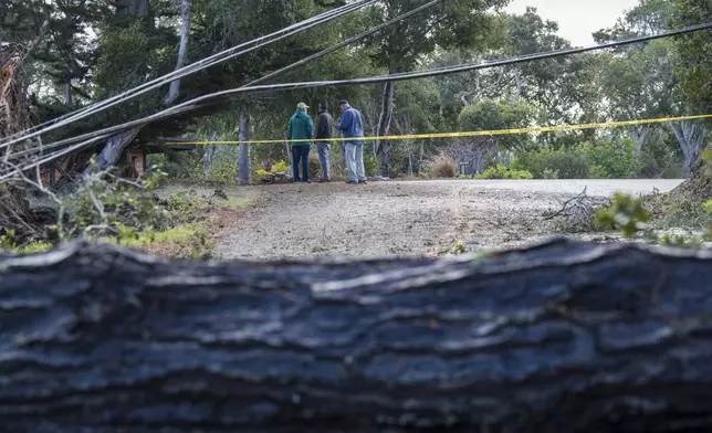 Power lines damaged from a fallen tree are seen across Sylan Road in Monterey, Calif., Saturday, Dec. 14, 2024. (AP Photo/Nic Coury)