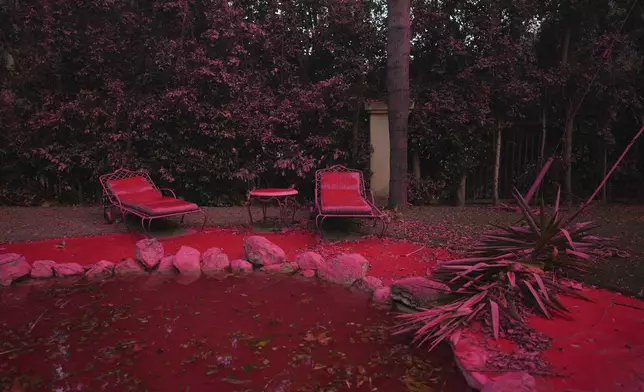 Fire retardant covers a backyard in Mandeville Canyon during the Palisades Fire, Saturday, Jan. 11, 2025, in Los Angeles. (AP Photo/Eric Thayer)