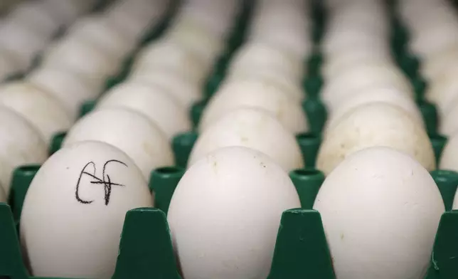 FILE - Duck eggs sit in a cooler at Crescent Duck Farm, in Aquebogue, N.Y., Oct. 29, 2014. (AP Photo/Julie Jacobson, File)