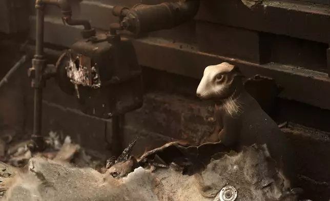 A charred bunny sculpture sits amidst debris at the destroyed Bunny Museum, Thursday, Jan. 9, 2025, in the Altadena section of Pasadena, Calif. (AP Photo/Chris Pizzello)