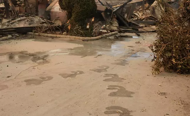 A welcome path leads to the charred remains of the Bunny Museum, Thursday, Jan. 9, 2025, in the Altadena section of Pasadena, Calif. (AP Photo/Chris Pizzello)