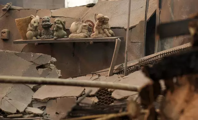 Charred bunny sculptures sit on a shelf amid debris inside the destroyed Bunny Museum, Thursday, Jan. 9, 2025, in the Altadena section of Pasadena, Calif. (AP Photo/Chris Pizzello)