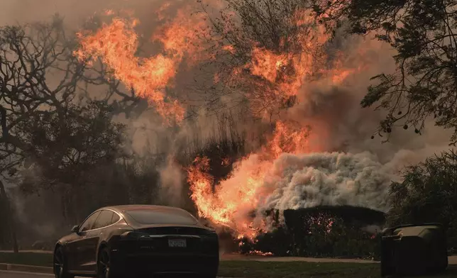 The Palisades Fire ravages a neighborhood amid high winds in the Pacific Palisades neighborhood of Los Angeles, Wednesday, Jan. 8, 2025. (AP Photo/Damian Dovarganes)