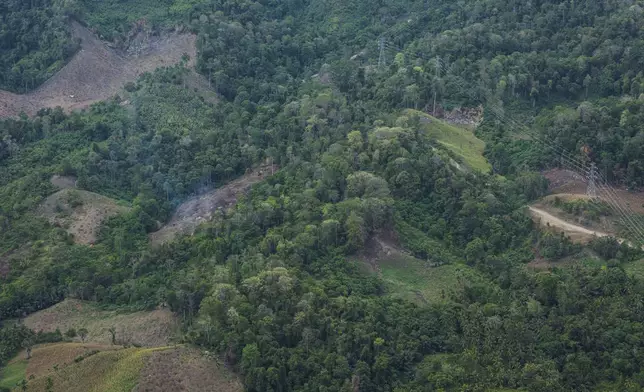 Deforestation is visible near the areas of several wood pellet production companies in Pohuwato, Gorontalo province, Indonesia, Tuesday, Oct. 22, 2024. (AP Photo/Yegar Sahaduta Mangiri)