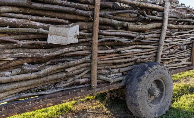 A trailer with fire wood for sale is parked on the side of the road in Copanca, Moldova, Wednesday, Jan. 8, 2025. (AP Photo)