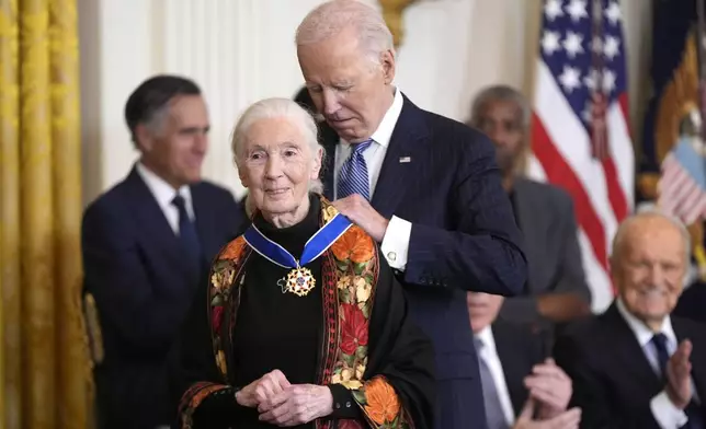 President Joe Biden, right, presents the Presidential Medal of Freedom, the Nation's highest civilian honor, to conservationist Jane Goodall in the East Room of the White House, Saturday, Jan. 4, 2025, in Washington. (AP Photo/Manuel Balce Ceneta)