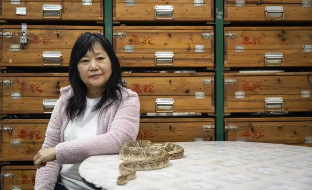 Chau Ka-ling, owner of the family-run snake soup restaurant, sits beside a pet snake at her shop in Hong Kong, Monday, Jan. 6, 2025. (AP Photo/Chan Long Hei)