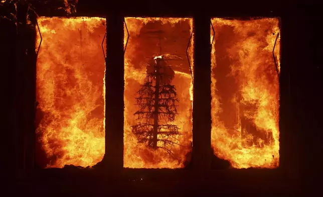 The Palisades Fire burns a Christmas tree inside a residence in the Pacific Palisades neighborhood of Los Angeles, Tuesday, Jan. 7, 2025. (AP Photo/Ethan Swope)