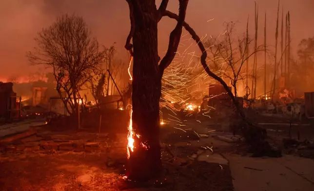 Embers are blown off a burning tree as the Eaton Fire burns in Altadena, Calif., Wednesday, Jan. 8, 2025. (AP Photo/Nic Coury)