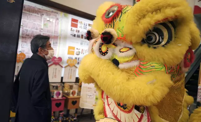 A lion dance head is displayed to celebrate the Chinese Lunar New Year which marks the Year of the Snake on the Chinese zodiac Wednesday, Jan. 29, 2025, at China Town in Yokohama, south of Tokyo. (AP Photo/Eugene Hoshiko)