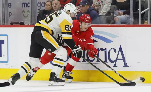 Detroit Red Wings right wing Jonatan Berggren (48) tries to pass the puck against Pittsburgh Penguins defenseman Erik Karlsson (65) during the first period of an NHL hockey game Tuesday, Dec. 31, 2024, in Detroit. (AP Photo/Duane Burleson)