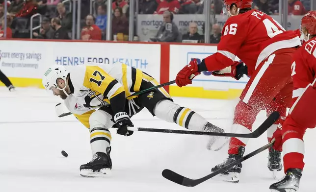 Pittsburgh Penguins right wing Bryan Rust (17) traps the stick of Detroit Red Wings defenseman Jeff Petry (46) while they chase a loose puck during the second period of an NHL hockey game Tuesday, Dec. 31, 2024, in Detroit. (AP Photo/Duane Burleson)