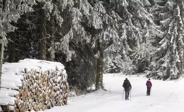 People walk through the snow-covered Thuringian Forest, Suhl-Schmiedefeld, Germany, Saturday Jan. 4, 2025. (Michael Reichel/dpa via AP)