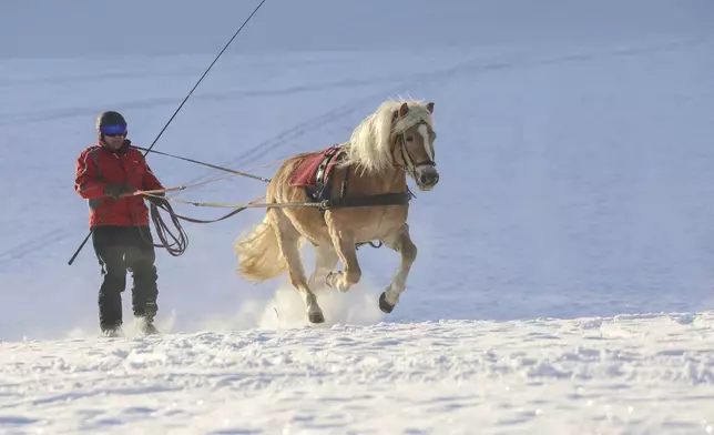 A man on skis is pulled through the snowy landscape of the Swabian Alb by a horse, in Münsingen, Germany, Saturday Jan. 4, 2025. (Thomas Warnack/dpa via AP)