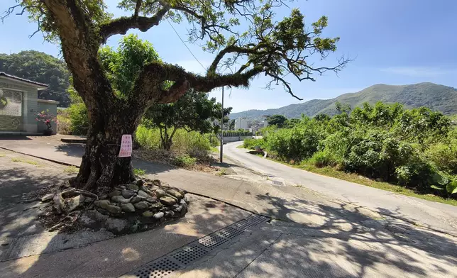 Section of road within frontier closed area near Lin Ma Hang Village in Sha Tau Kok opens today  Source: HKSAR Government Press Releases