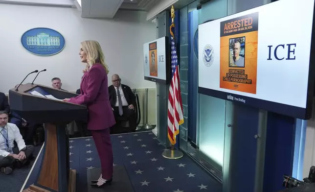 White House press secretary Karoline Leavitt speaks during a briefing at the White House, Tuesday, Jan. 28, 2025, in Washington. (AP Photo/Evan Vucci)