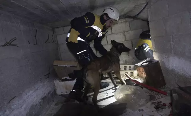 A dog helps search for bodies and hidden cells at the Air Force Intelligence Branch detention center, which was allegedly used during Bashar Assad's regime to torture and kill prisoners, in Damascus, Syria, on Dec. 15, 2024. (AP Photo/Ghaith Alsayed)